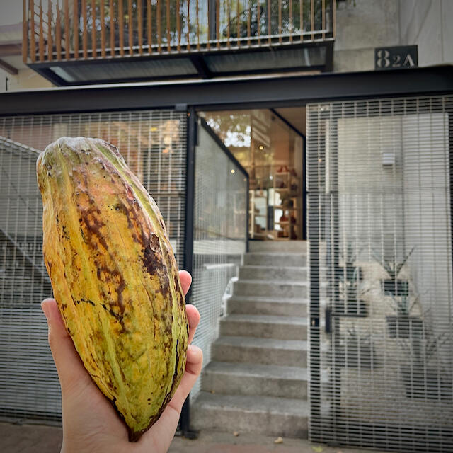 Tienda Cacao Para Todos