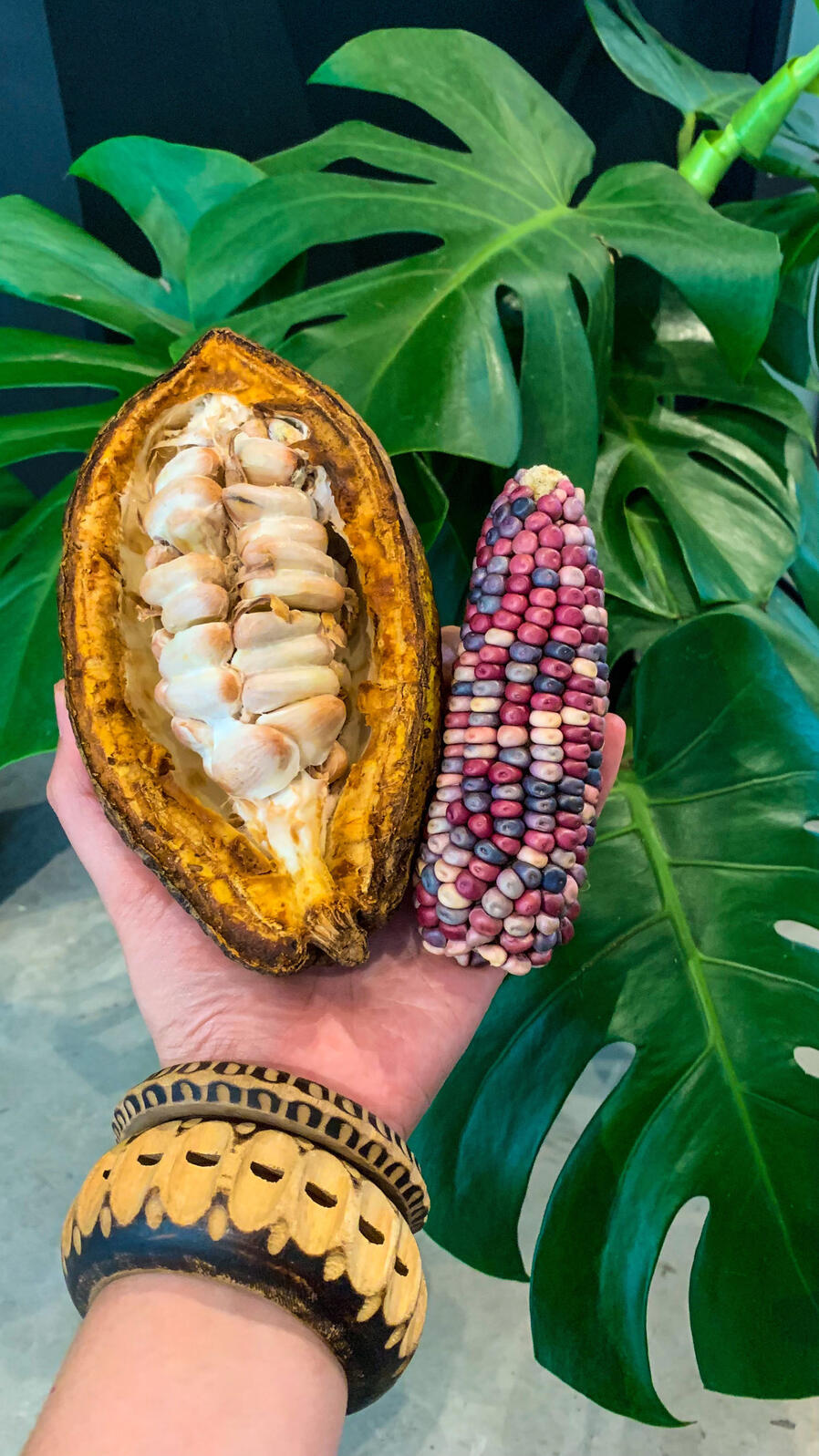 Mazorca de cacao y maíz