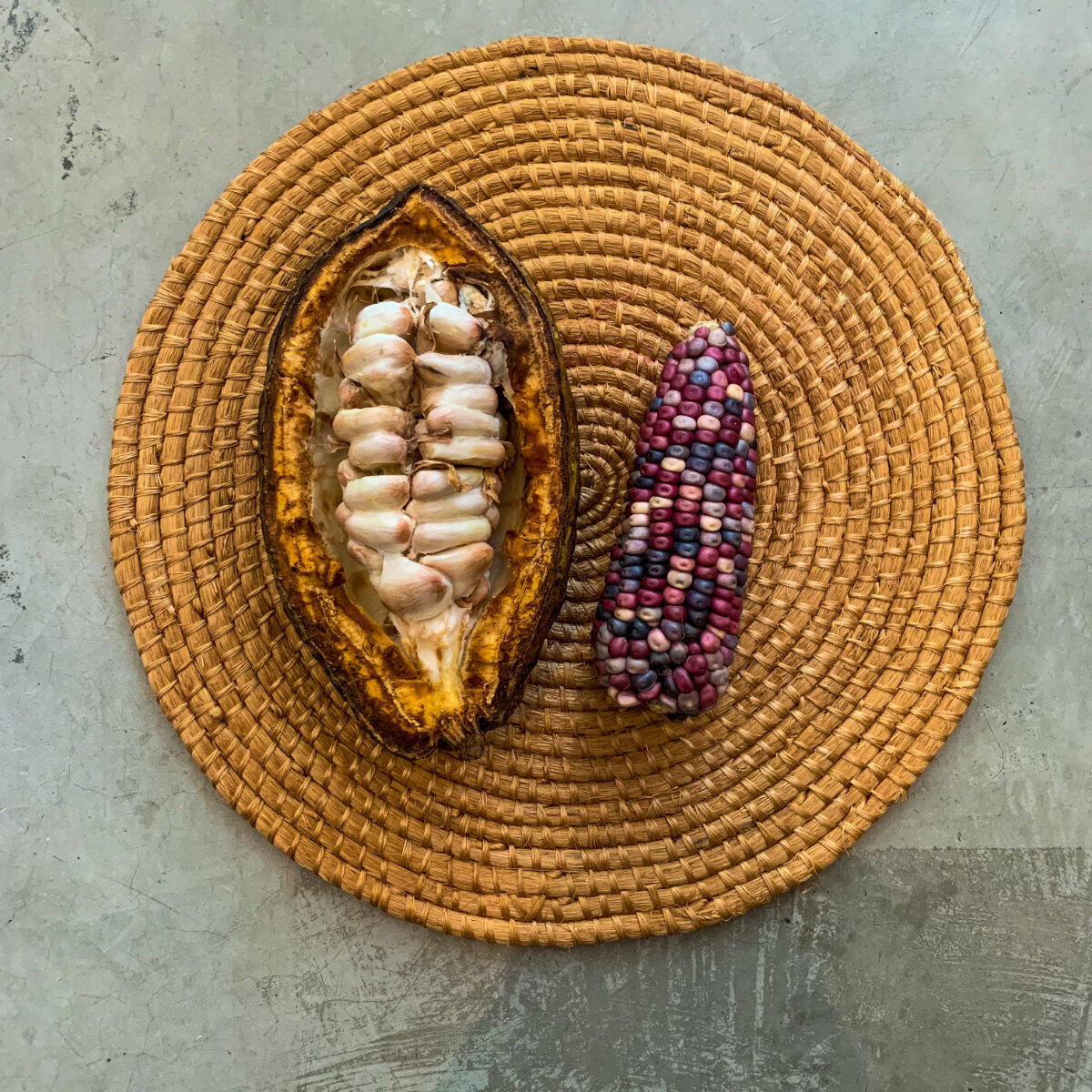 Cacao y maíz sobre mantel