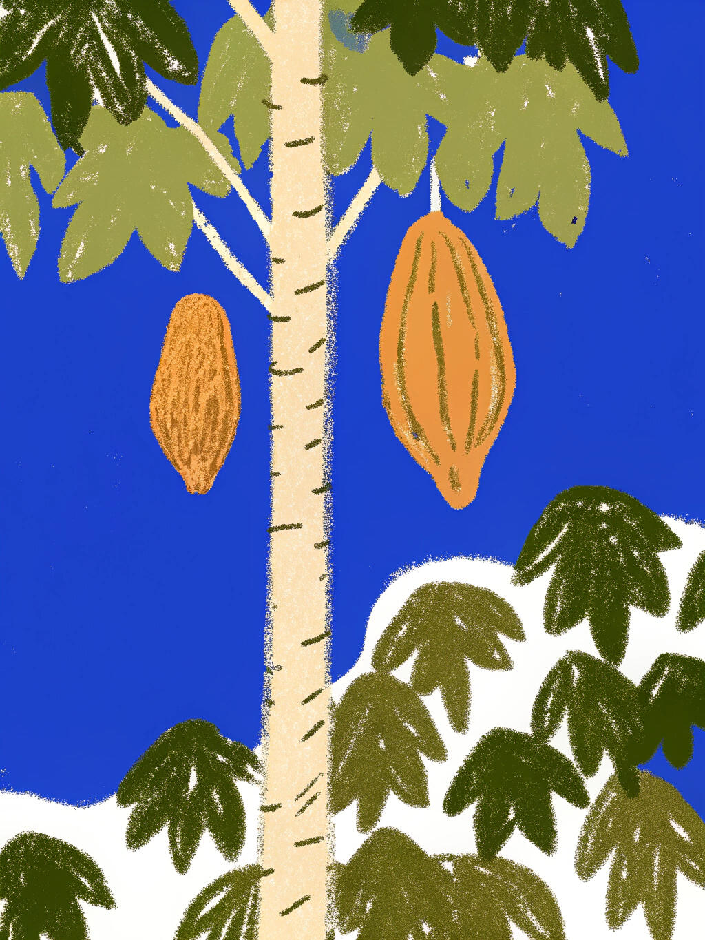 Nawal Cacao logo